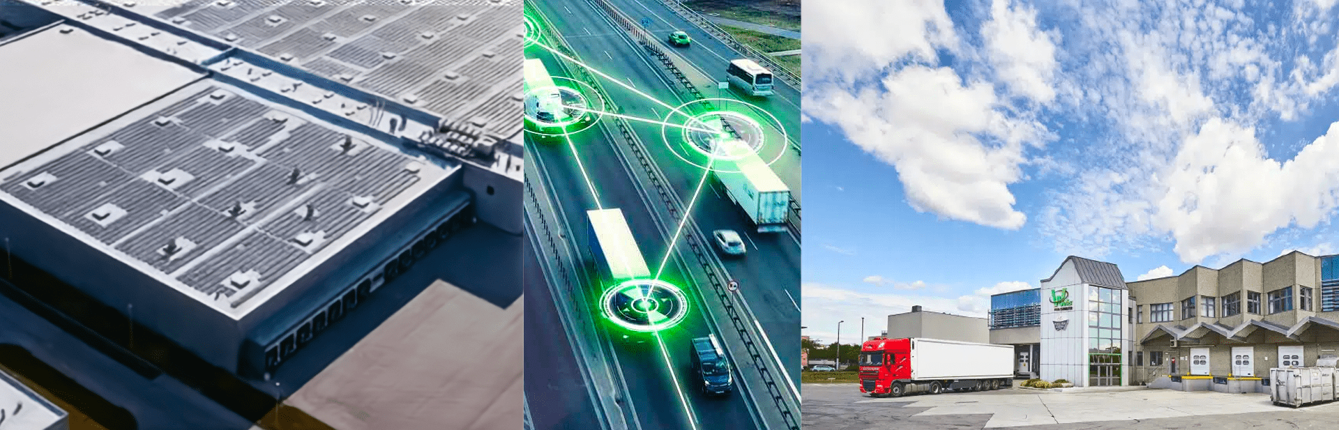 Distributorpartner von Violife Professional in der Schweiz-Haecky Logo.