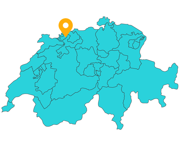 Distributorpartner von Violife Professional in der Schweiz-Haecky Logo.