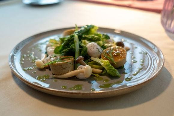 SpringSummer_SpringSalad