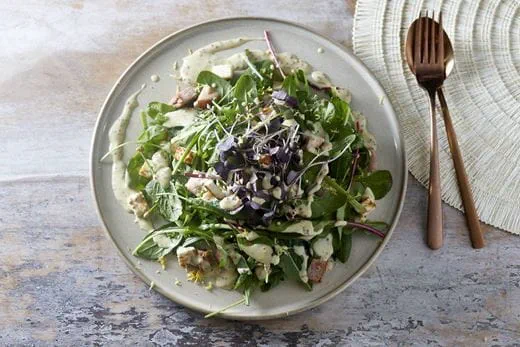 recipe image Σαλάτα με καπνιστό απάκι, σταμναγκάθι, σπανάκι, μάραθο, καψαλισμένο μανούρι με λεμονάτο dressing από ελαιόλαδο, μουστάρδα και φυτική κρέμα