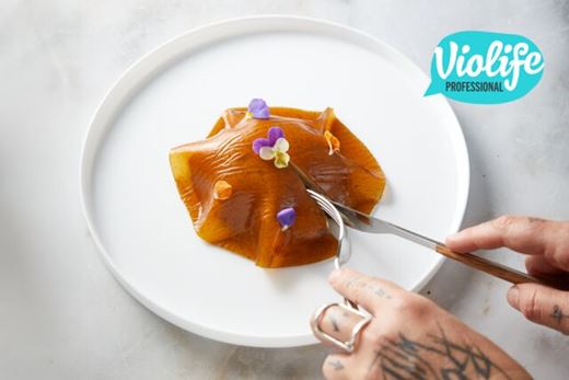 Violife Professional σημαίνει