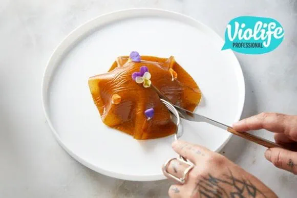 Violife Professional σημαίνει