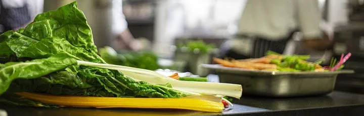 chef plant-based