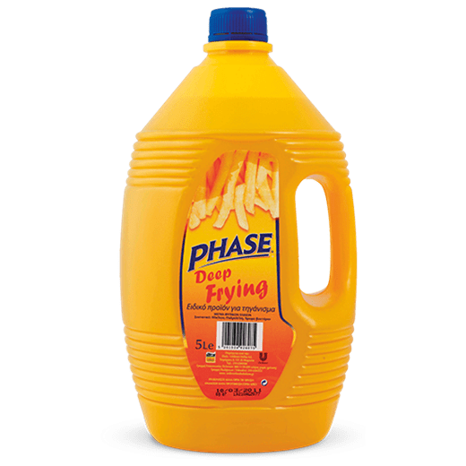 Phase professional deep frying 5L
