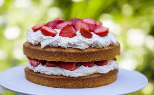 Plant based vegetarian cake