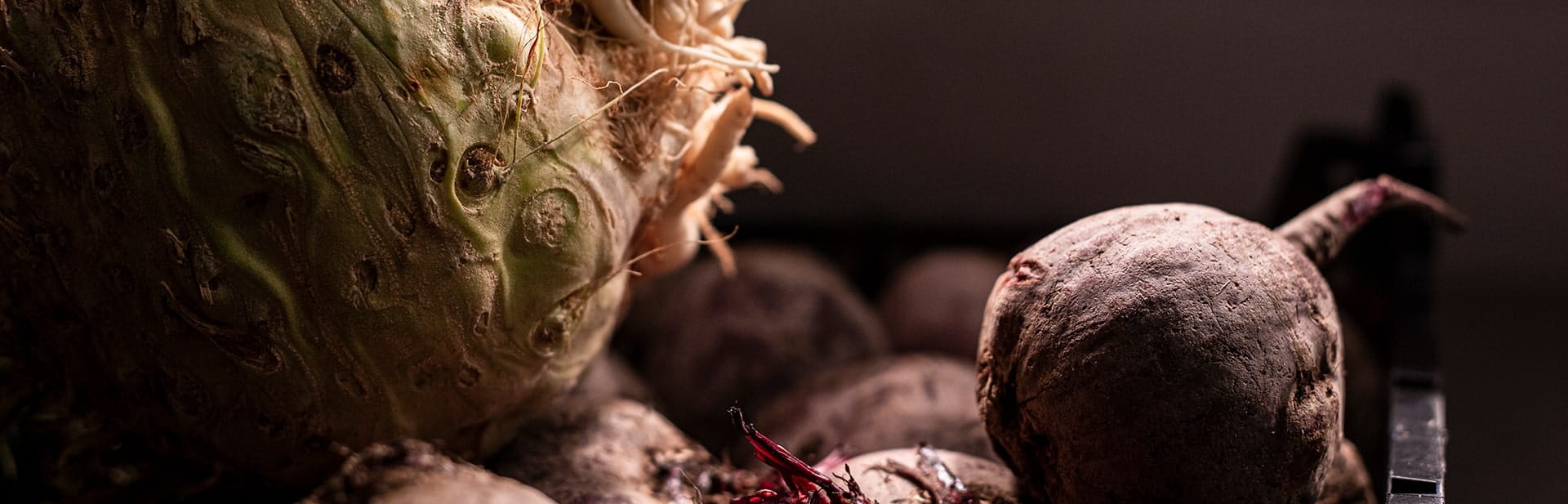 Article, Perfect Plant-Based Recipe Ideas