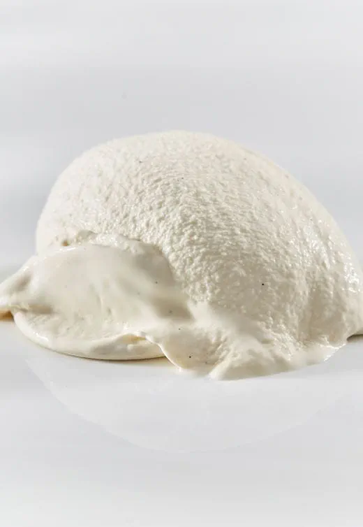 vegan vanilla ice cream