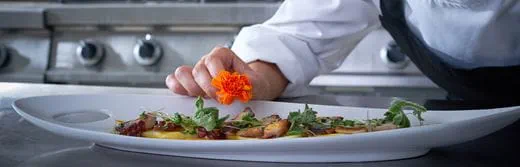 Chef decorando un delicioso plato plant-based apto para veganos y flexitarianos