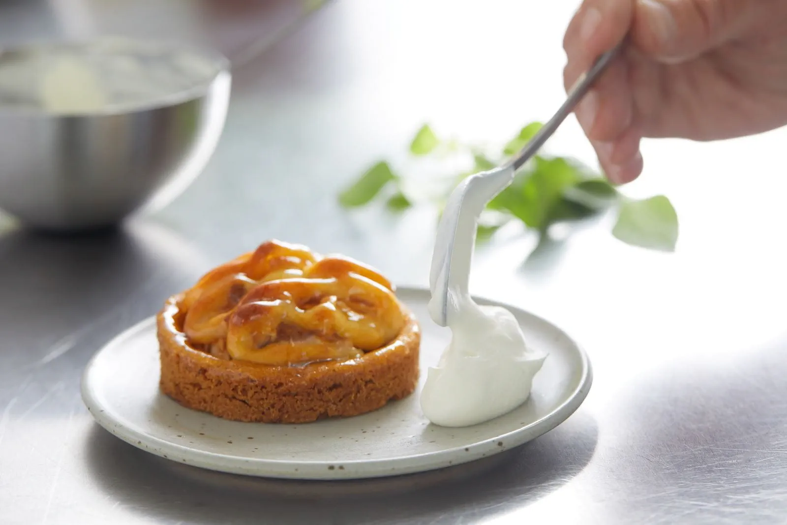 Flora Professional : Le végétal pour tous