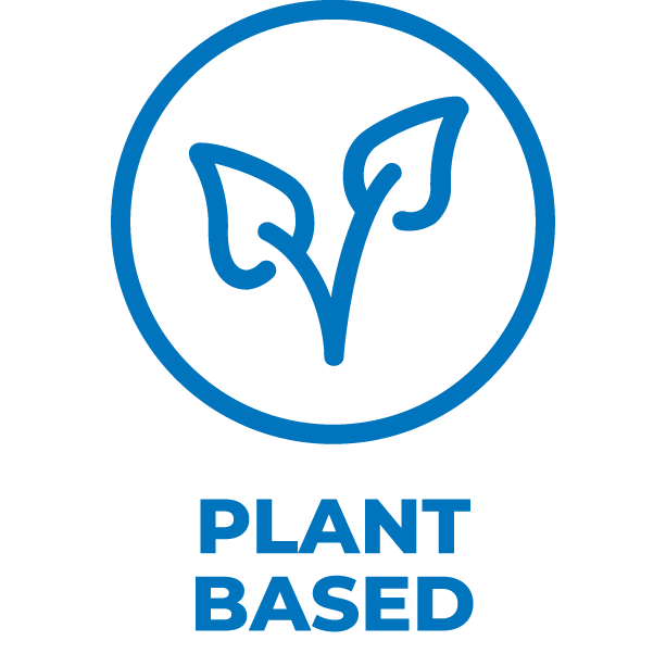 plant based icecream