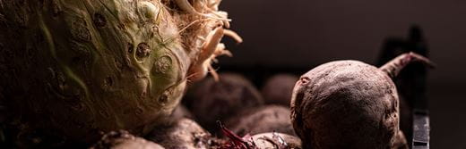  Perfecte receptideeën voor een groener bord