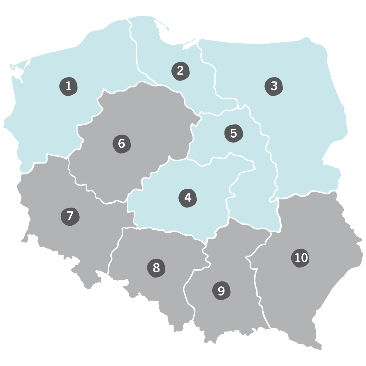 Contact Violife Professional Polish team