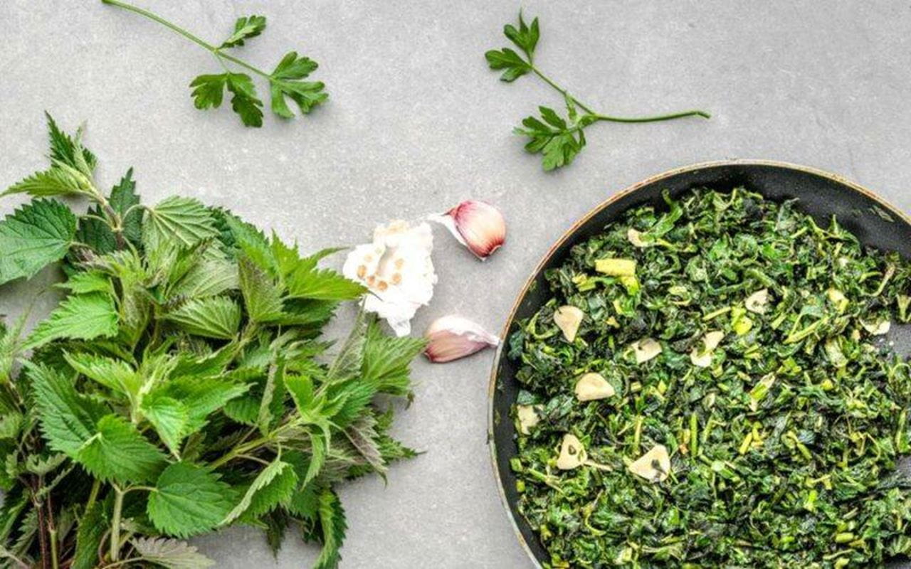 recipe image SMOTANOVÝ ŠPENÁT Z MLADEJ ŽIHĽAVY