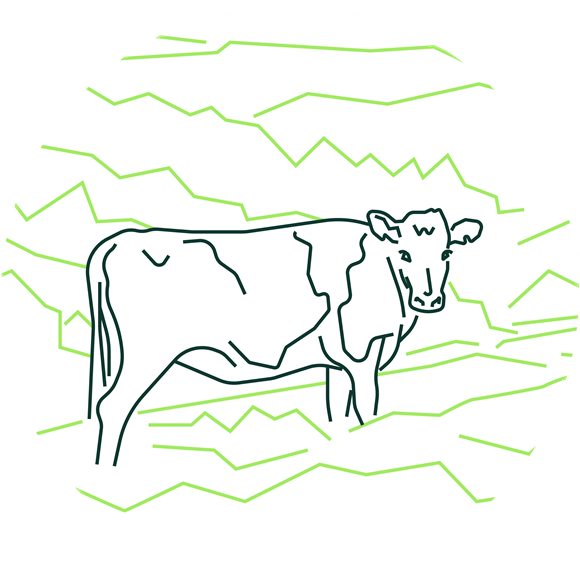 Läs mer om vårt samarbete med Klimato