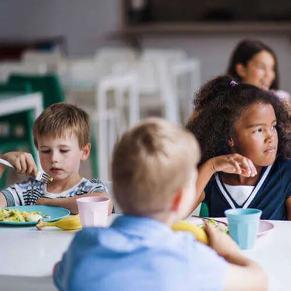 Plant based manufacturer