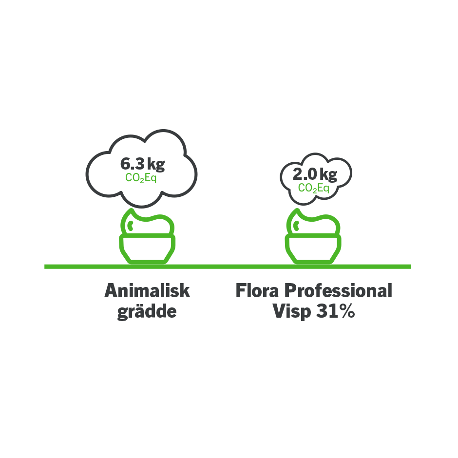 Professionelle pflanzliche Zutaten Großhandel