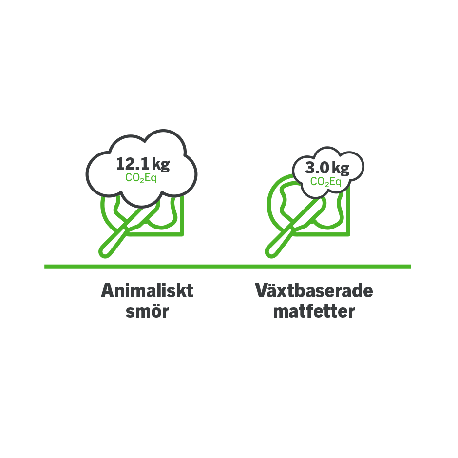 Professionelle pflanzliche Zutaten Großhandel