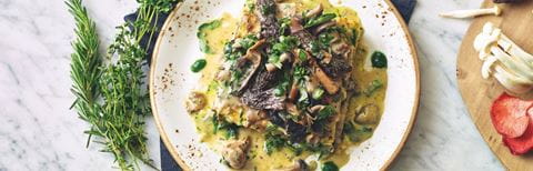 recipe image Lasagne med krämig svampsås
